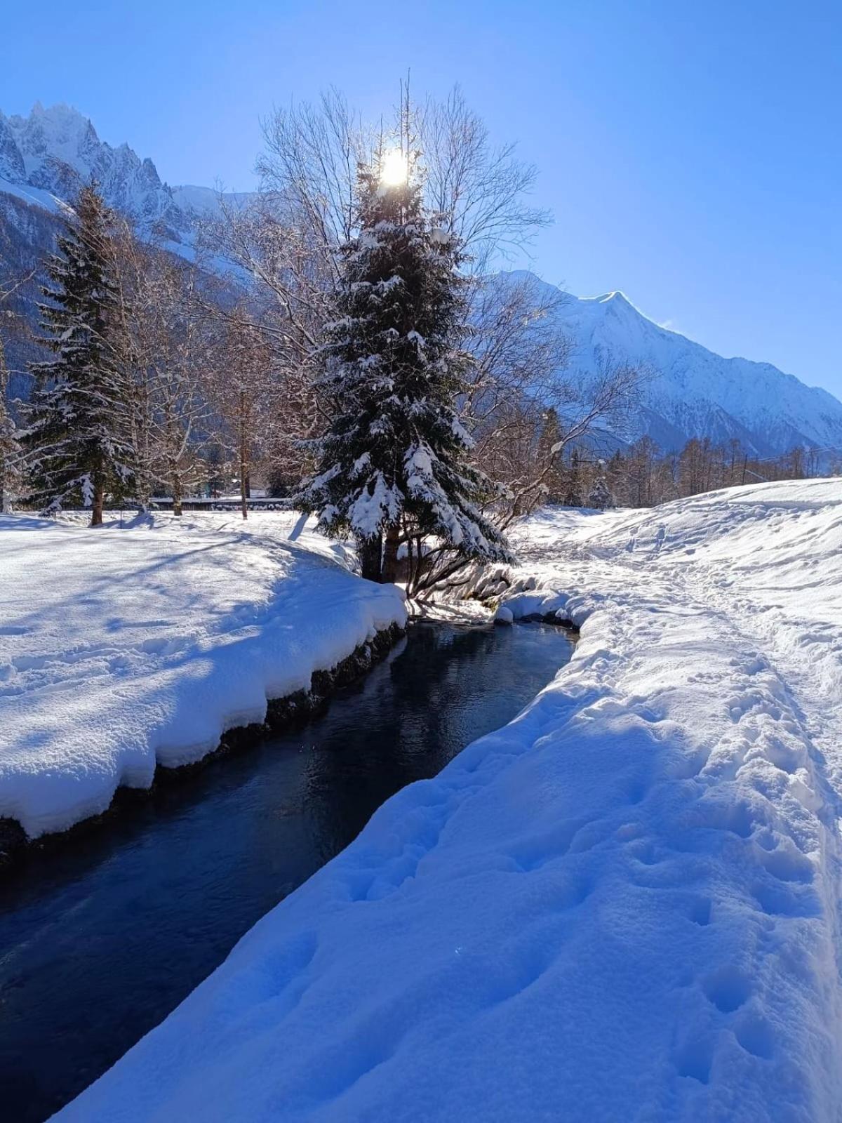 Appartement Chamonix Montblanc 1 A 4 Personnes Zewnętrze zdjęcie