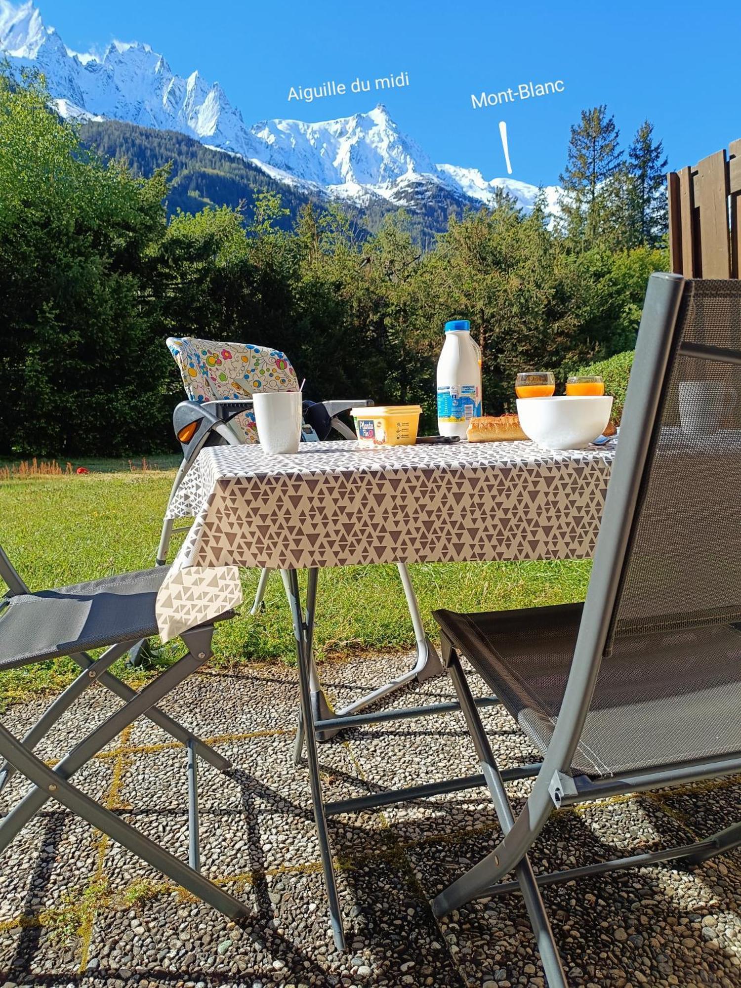 Appartement Chamonix Montblanc 1 A 4 Personnes Zewnętrze zdjęcie
